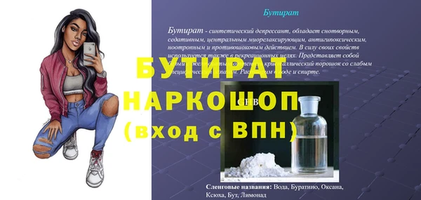 гашик Алексин