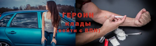 гашик Алексин