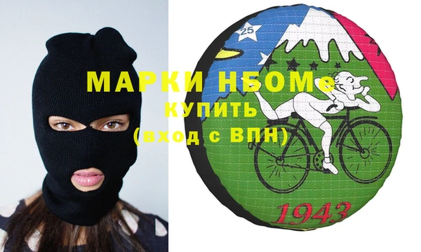 гашик Алексин