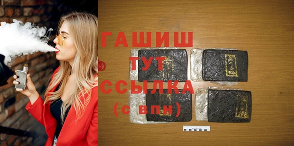 гашик Алексин