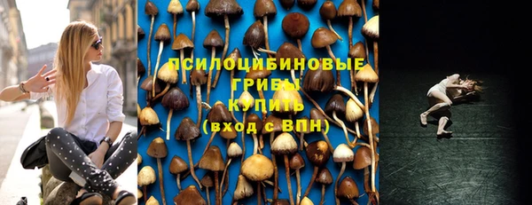 круглые Алексеевка