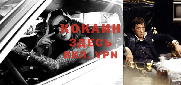 гашик Алексин