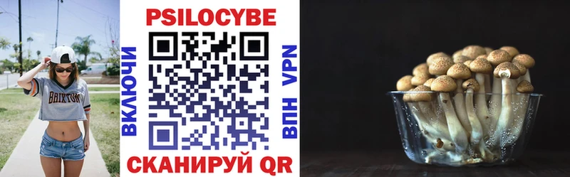 Псилоцибиновые грибы Psilocybine cubensis  сайты даркнета состав  Протвино  где найти  