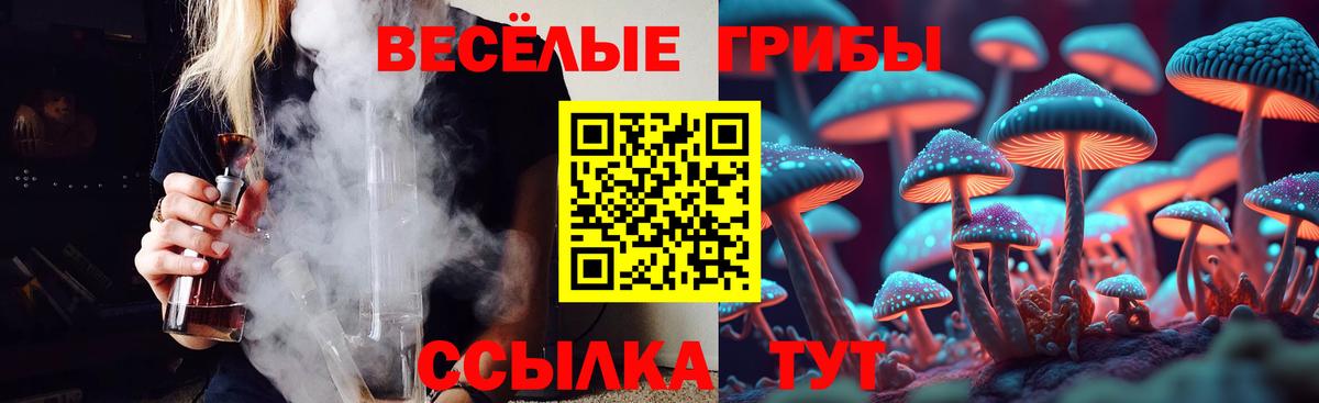 Псилоцибиновые грибы Psilocybe  Псилоцибиновые грибы MAGIC MUSHROOMS  Протвино  Вход с VPN 